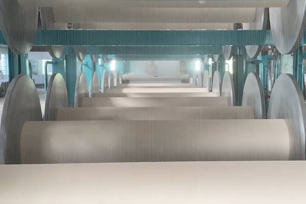 The Journey of Bhumi Products from "Seed To Shelf"