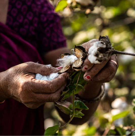 From Farm to Fabric: How Cotton is Made and the Advantages of Choosing Organic