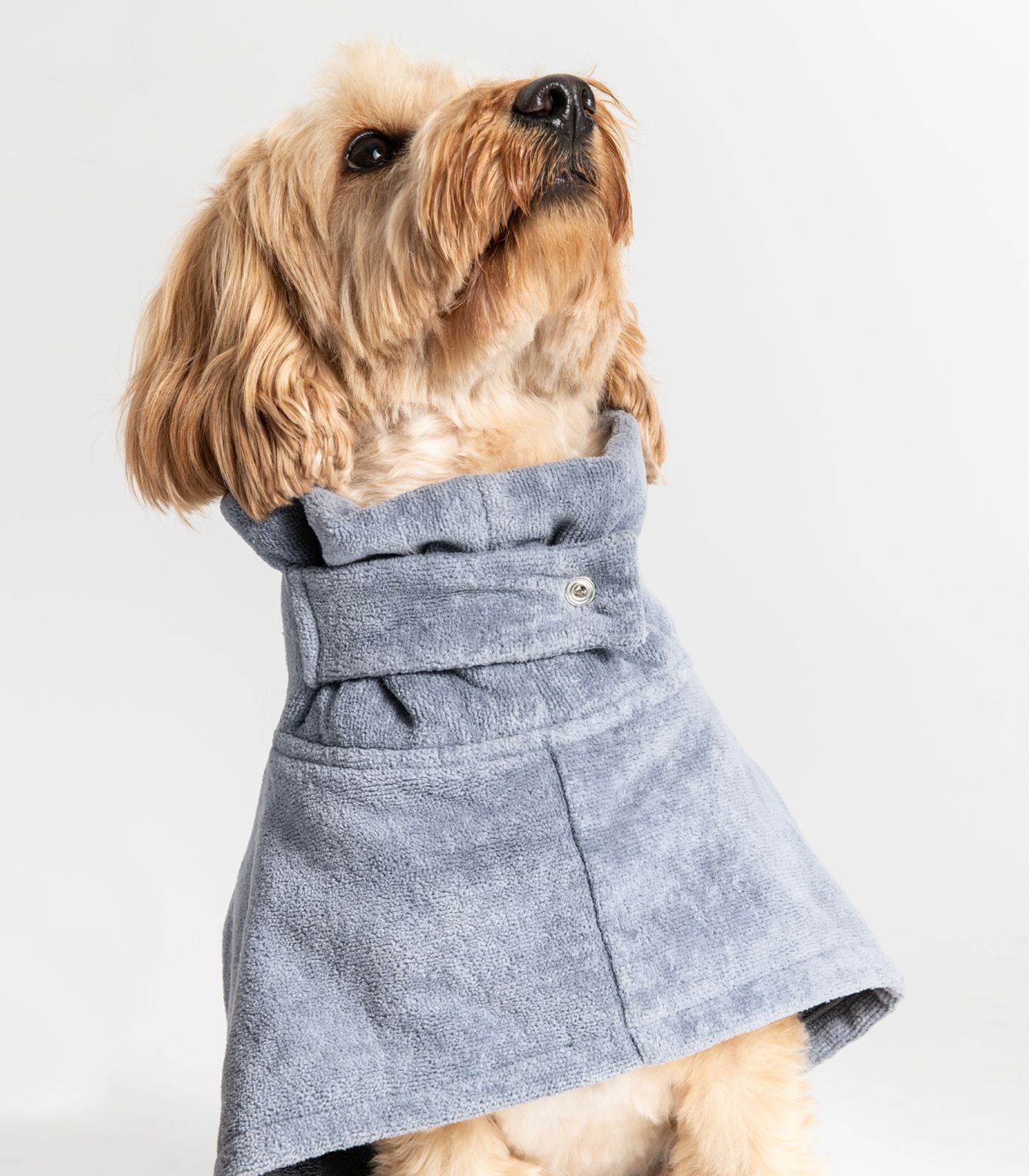 Bhumi Organic Cotton - Pet Towel - Granite Blue