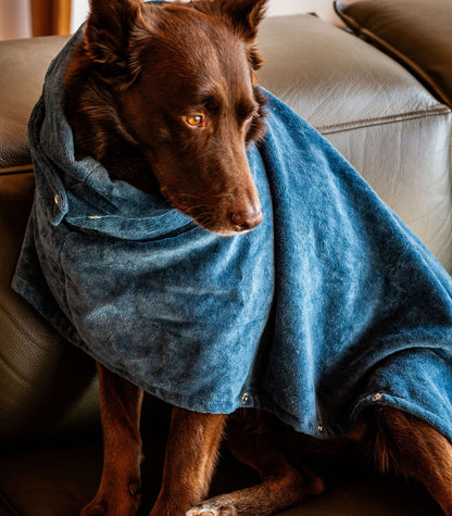 Bhumi Organic Cotton - Pet Towel - Indian Teal