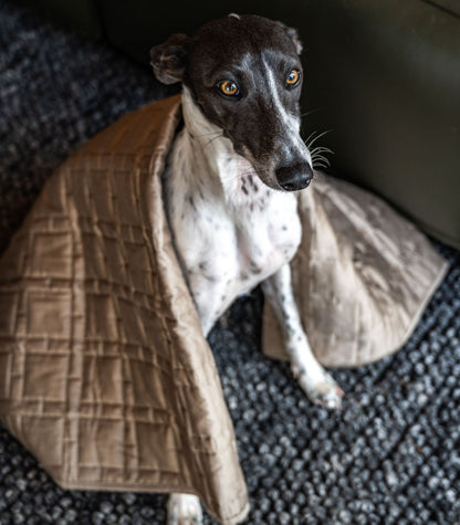 Bhumi Organic Cotton - Pet Quilted Blanket - Lattice Design - Golden Taupe