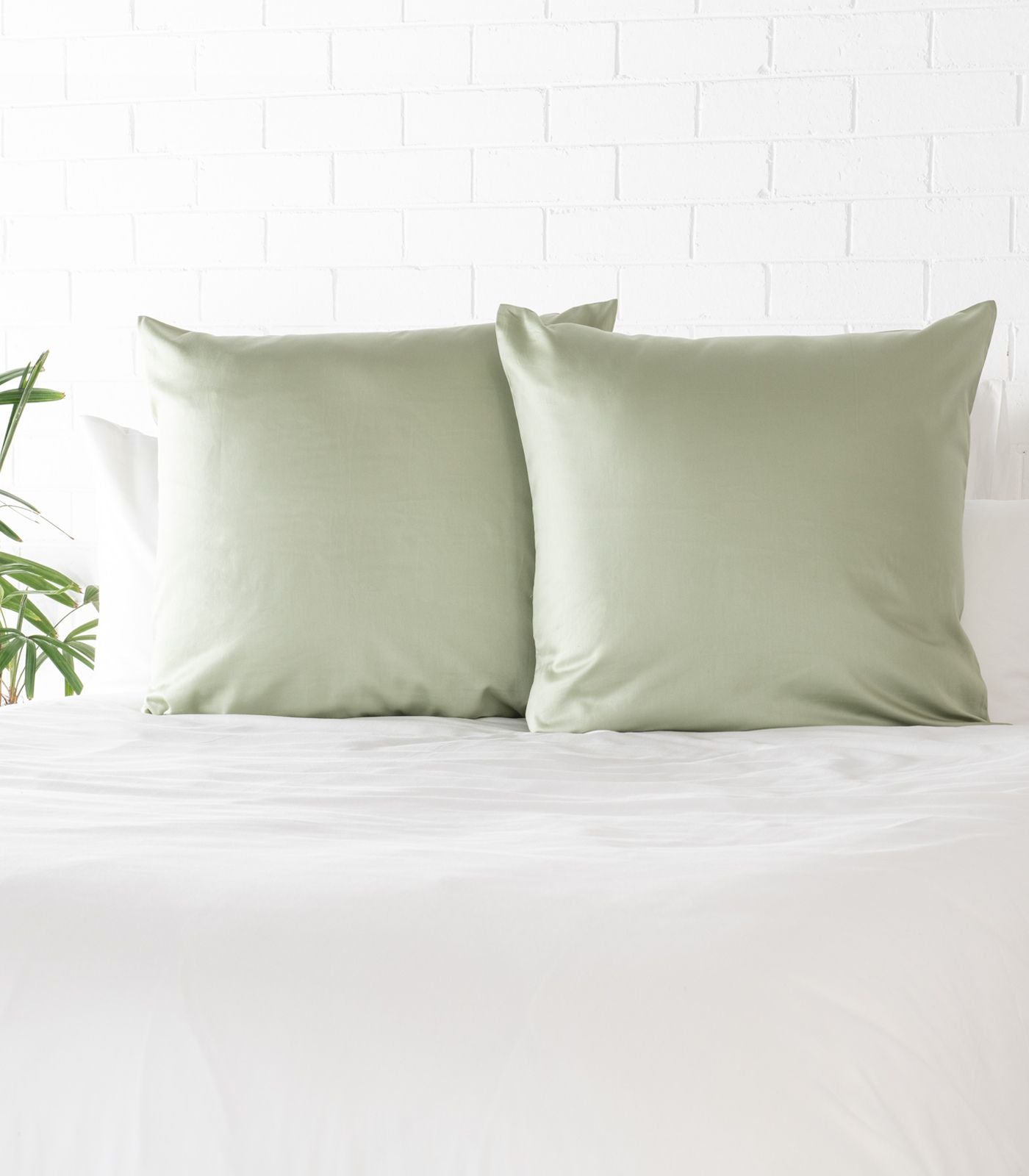 European Percale Pillow Cases - Sage