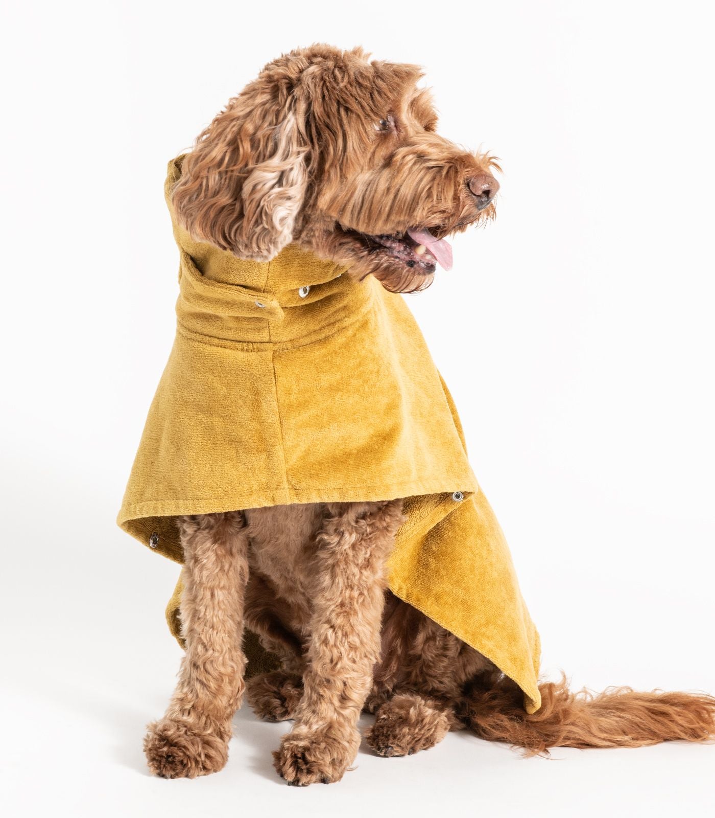 Bhumi Organic Cotton - Pet Towel - Golden Turmeric