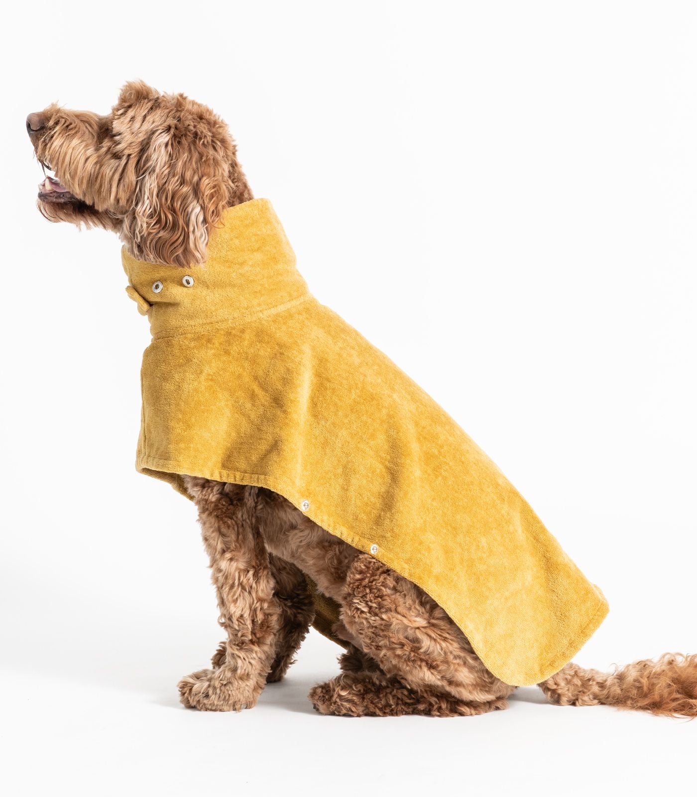 Bhumi Organic Cotton - Pet Towel - Golden Turmeric