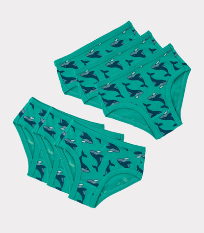 Bhumi Organic Cotton - Whale Of A Time Girls Briefs 6 Pack