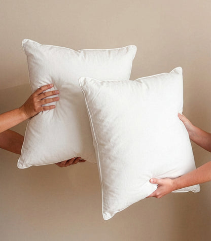 European - Kapok Pillow (2 Pack)