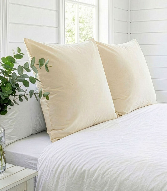 Bhumi Organic Cotton - Sateen Pillow Cases (pair) - European - Ivory