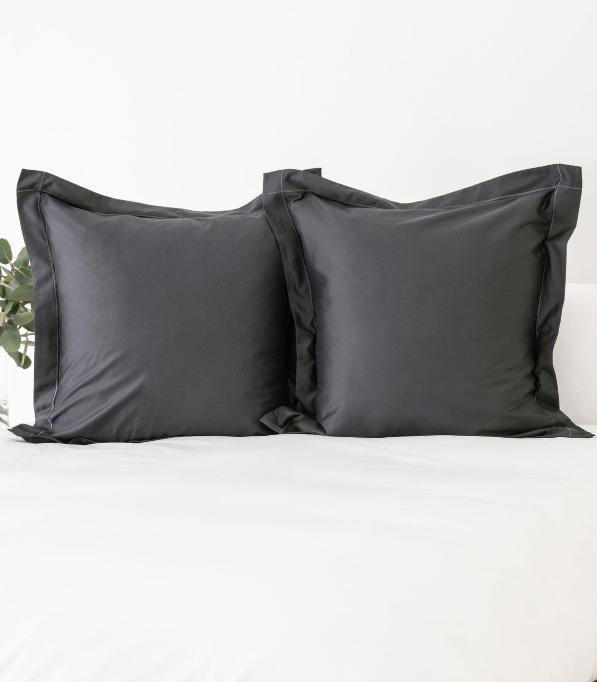 European - Sateen Pillow Cases (Pair) - Luxe - Limited Edition - Graphite