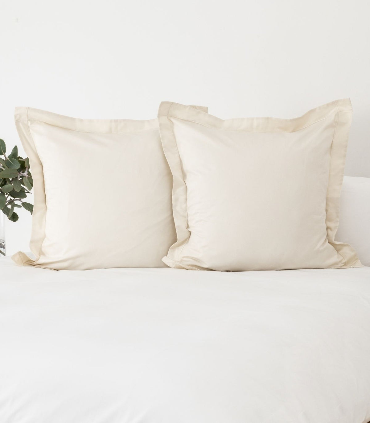 European - Sateen Pillow Cases (Pair) - Luxe - Limited Edition - Ivory