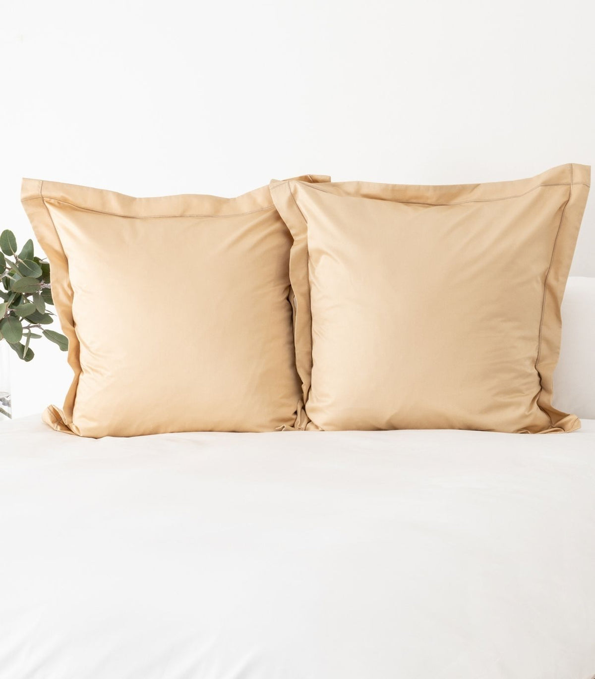 European - Sateen Pillow Cases (Pair) - Luxe - Limited Edition - Macadamia