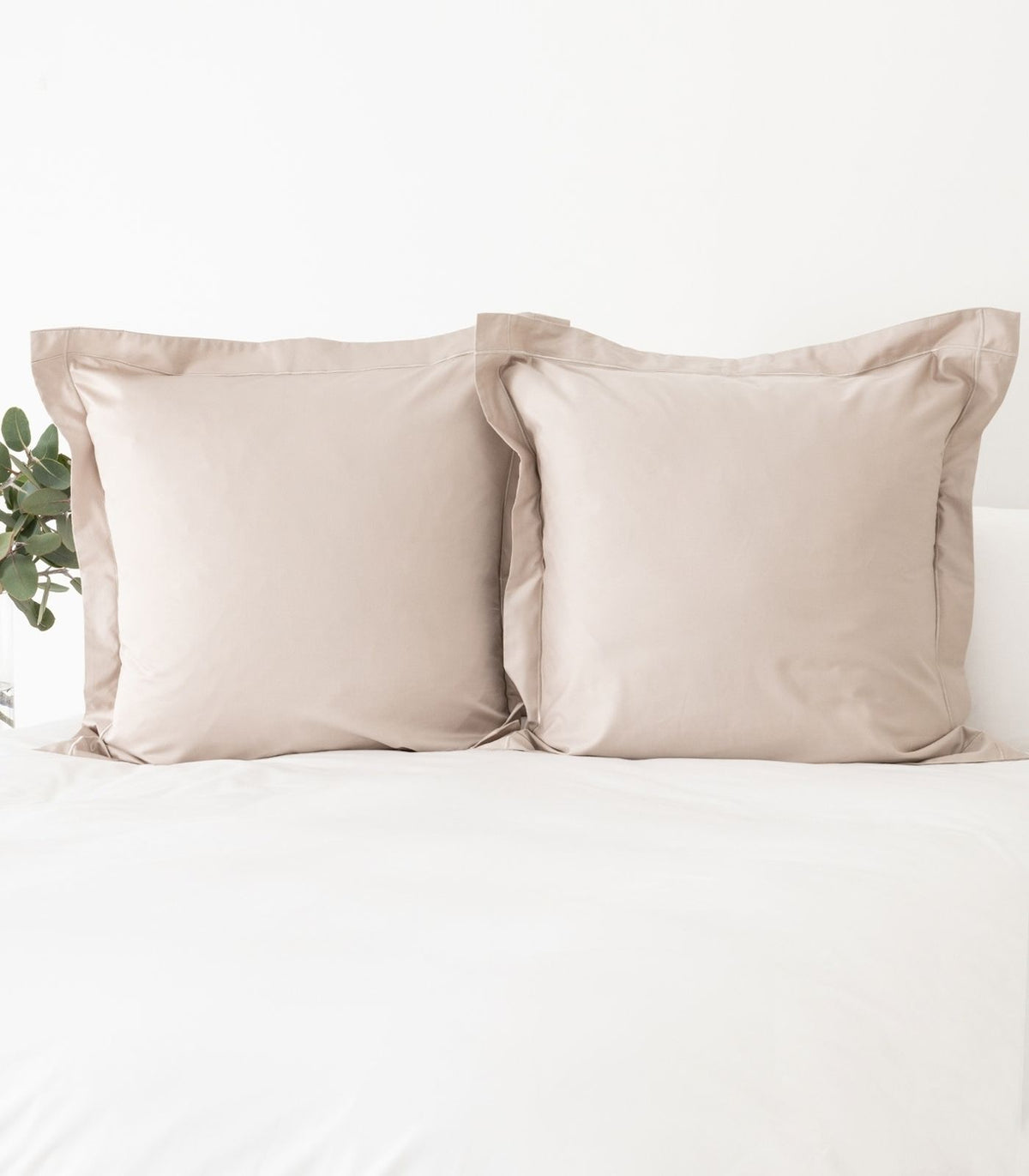 European - Sateen Pillow Cases (Pair) - Luxe - Limited Edition - Taupe
