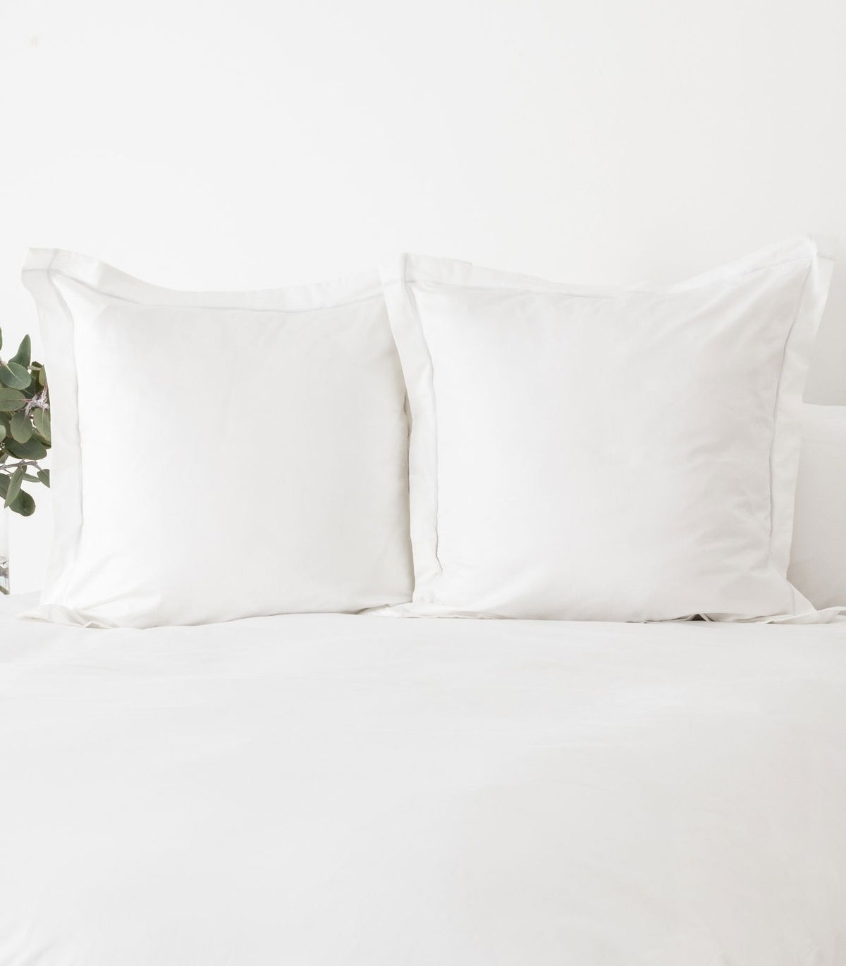 European - Sateen Pillow Cases (Pair) - Luxe - Limited Edition - White