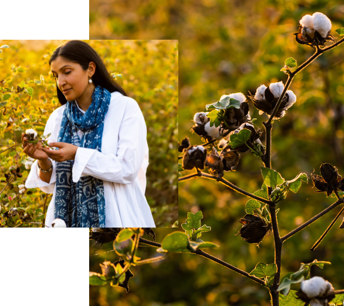 Sustainability – Bhumi Organic Cotton (AU)