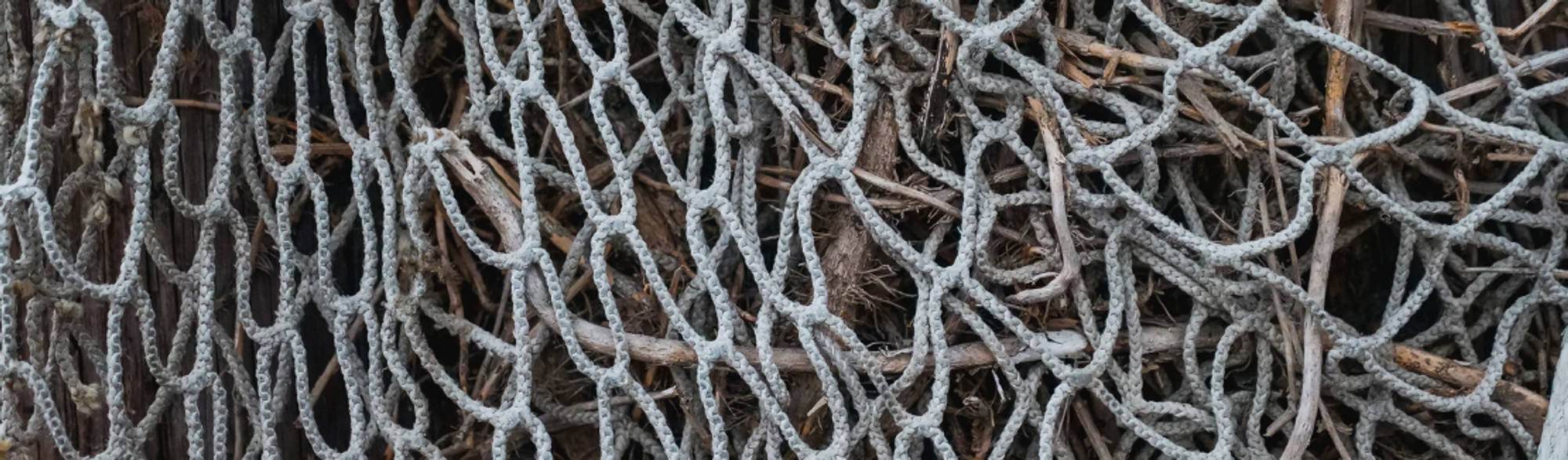 Yuliya Nachalovaning mushuki Paypoqda jinsiy aloqa qilayotgan qizlarni tomosha qiling